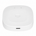 Zigbee & Bluetooth Smart Gateway Hub smart hub and control product image 11