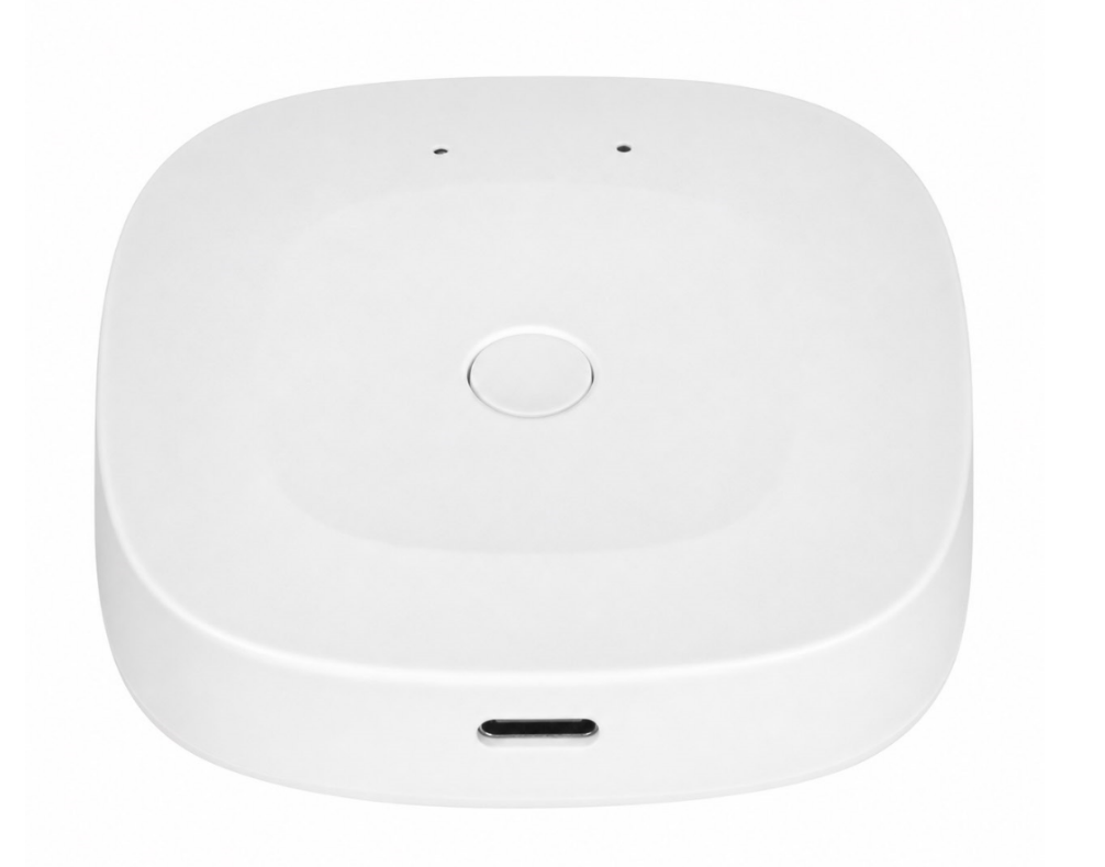 Zigbee 1-Gang Smart Wall Switch detail image 18